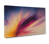 Astonishing Fireworks Canvas Wall Art Print 30x20 Inch