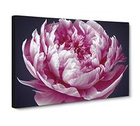 Astonishing Peony Flower Canvas Wall Art Print 30x20 Inch