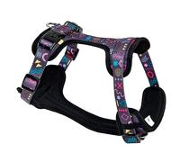 ASTORPET | Dog Harness Mesh Type Air Mesh. Adjustable Vest/Harness for Large, Medium and Small Dogs with Safety Lock. Walking and Training (S, NOVENTA'S)