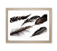 Astounding Bird Feathers Framed Wall Art Print A2 Oak