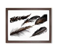 Astounding Bird Feathers Framed Wall Art Print A2 Walnut
