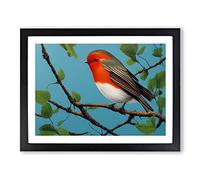 Astounding Robin Bird Framed Wall Art Print A2 Black