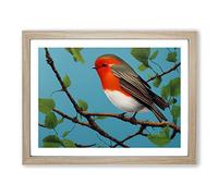Astounding Robin Bird Framed Wall Art Print A2 Oak
