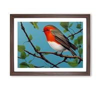 Astounding Robin Bird Framed Wall Art Print A2 Walnut