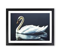 Astounding Swan Framed Wall Art Print A2 Black