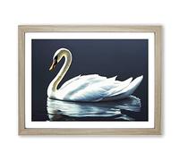 Astounding Swan H1022 Framed Print for Living Room Bedroom Home Office Décor, Wall Art Picture Ready to Hang, Oak A2 Frame (64 x 46 cm)