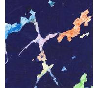 Astral Social Club / Glockenspiel - Split [7" VINYL]