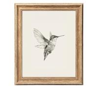 ASTRDECOR Hummingbird Wall Art Prints 8x10, Bird Sketch Painting Picture with Rustic Wood-Look Frame, Vintage Farmhouse Country Wall Decor for Living Room Bedroom Bathroom Home Decoration