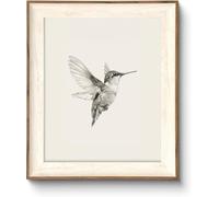 ASTRDECOR Hummingbird Wall Art Prints - Vintage Black and White Bird Sketch Painting Picture, Rustic Neutral Decor Canvas Wall Decor for Nursery, Bedroom, Living Room - Framed 10''x12''