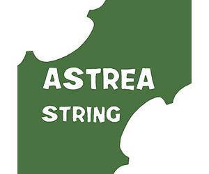 Astrea 141110 VIOLIN 3/4-4/4 SET