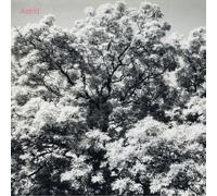 Astrid - Always Digging The Same Hole [CD]