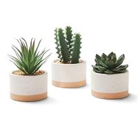 ASTRIDIA Artificial Succulent Plants in Ceramic Pots, Faux Assorted Succulents Fake Cactus Plants for Home Decor, Bedroom, Office, Desk, Living Room, Set of 3…