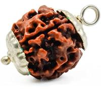 Astro Cart 1 Mukhi Kaju Dana/GOL Dana/ 2 Mukhi/ 3 Mukhi/ 4 Mukhi/ 5 Mukhi/ 6 Mukhi/ 7 Mukhi/ 8 Mukhi/ 9 Mukhi/ 10 Mukhi/ 11 Mukhi/ 12 Mukhi/ 13 Mukhi/ 14 Mukhi Rudraksha Original Certified by Lab, 3