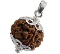 Astro Cart 1 Mukhi Kaju Dana/GOL Dana/ 2 Mukhi/ 3 Mukhi/ 4 Mukhi/ 5 Mukhi/ 6 Mukhi/ 7 Mukhi/ 8 Mukhi/ 9 Mukhi/ 10 Mukhi/ 11 Mukhi/ 12 Mukhi/ 13 Mukhi/ 14 Mukhi Rudraksha Original Certified by Lab, 4