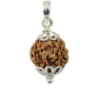 Astro Cart 4 Mukhi Rudraksha Original Certified Nepali Four Mukhi Rudraksha Original Asli 4 Mukhi Rudraksha Char Mukhi Rudraksha चार मुखी रुद्राक्ष 4 Face Rudraksha With Lab Certificate For Jap Mala