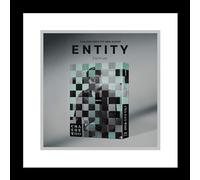 Astro Cha Eunwoo Entity 1st Mini Album CD+Folding Poster on Pack+Photobook+Photocard+Sticker+DIY Entity+Accordion Lyric Paper+Tracking Sealed EUN WOO (Each Version)