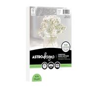 Astrodesigns Cardstock, Bright White, 4.5" x 6.5", 65 lb., 100 Sheets, Perfect for DIY Projects, Card Making, Scrapbooking & Invitations (91997)