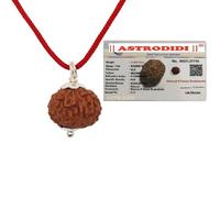 ASTRODIDI 8 Mukhi Rudraksha Original Certified Java Eight Face Small Size Silver Coated Pendant with Lab Report | Astrological Benefits | Unisex Design for Men & Women, standard, Rudraksha, Rudraksha