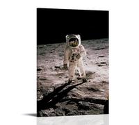 Astronaut Edwin 'Buzz' Aldrin Standing on The Moon after The Apollo 11 Landing Poster Decorative Painting Canvas Wall Art Living Room Poster Bedroom Painting Wall Art Picture Print Modern Family