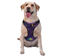 Astronaut On Mission in Outer Space Pattern Dog Harness - Lightweight,Soft,Adjustable Small Harness and Leash Set, Suitable for Puppy Small and Medium-Sized Dog-Small