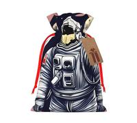 Astronaut on The Moon 1 Gift Bag with Handles and tag, Perfect for Christmas, Birthday, Wedding or Daily Gift - (M)