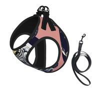 Astronaut on The Moon 1 Print Step in Dog Harness and Leash Set,Adjustable Reflective Harness for Small Dogs Cats