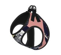 Astronaut on The Moon 1 Print Step in Dog Harness and Leash Set,Adjustable Reflective Harness for Small Dogs Cats