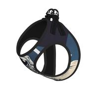 Astronaut on The Moon Print Step in Dog Harness and Leash Set,Adjustable Reflective Harness for Small Dogs Cats