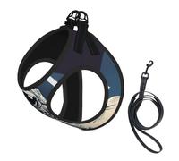 Astronaut on The Moon Print Step in Dog Harness and Leash Set,Adjustable Reflective Harness for Small Dogs Cats