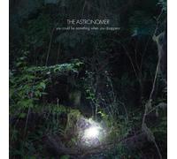 ASTRONOMER - You Could Be Something When You Disappear [Vinyl LP] [VINYL]