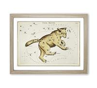 Astronomical Chart Of The Ursa Major Constellation Vintage Framed Print | A3 Oak Framed Wall Art | Ready to Hang | Classic Nature Picture | Living Room Bedroom Lounge Office