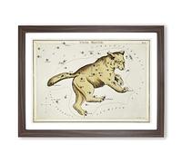 Astronomical Chart Of The Ursa Major Constellation Vintage Framed Print | A3 Walnut Framed Wall Art | Ready to Hang | Classic Nature Picture | Living Room Bedroom Lounge Office