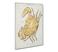 Astronomical Zodiac Chart Of The Cancer Constellation Canvas Print | Gallery Wrapped 30mm Frame Wall Art | 20x14 inches | Ready to Hang | Retro Picture | Living Room Bedroom Lounge Office