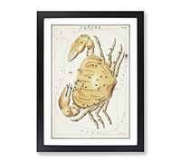 Astronomical Zodiac Chart Of The Cancer Constellation Vintage Framed Print | A2 Black Framed Wall Art | Ready to Hang | Classic Fantasy Picture | Living Room Bedroom Lounge Office