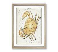 Astronomical Zodiac Chart Of The Cancer Constellation Vintage Framed Print | A2 Oak Framed Wall Art | Ready to Hang | Classic Fantasy Picture | Living Room Bedroom Lounge Office