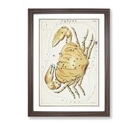 Astronomical Zodiac Chart Of The Cancer Constellation Vintage Framed Print | A4 Walnut Framed Wall Art | Ready to Hang | Classic Fantasy Picture | Living Room Bedroom Lounge Office