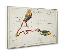 Astronomical Zodiac Chart Of The Pisces Constellation Canvas Print | Gallery Wrapped 30mm Frame Wall Art | 20x14 inches | Ready to Hang | Retro Picture | Living Room Bedroom Lounge Office