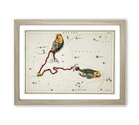 Astronomical Zodiac Chart Of The Pisces Constellation Vintage Framed Print | A4 Oak Framed Wall Art | Ready to Hang | Classic Fantasy Picture | Living Room Bedroom Lounge Office