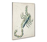 Astronomical Zodiac Chart Of The Scorpio Constellation Vintage Canvas Wall Art Print Ready to Hang, Framed Picture for Living Room Bedroom Home Office Décor, 20x14 Inch (50x35 cm)