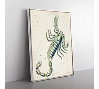 Astronomical Zodiac Chart Of The Scorpio Constellation Vintage Canvas Wall Art Print Ready to Hang, Framed Picture for Living Room Bedroom Home Office Décor, 50x35 cm (20x14 Inch)