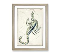 Astronomical Zodiac Chart Of The Scorpio Constellation Vintage Framed Print | A3 Oak Framed Wall Art | Ready to Hang | Classic Fantasy Picture | Living Room Bedroom Lounge Office