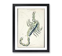 Astronomical Zodiac Chart Of The Scorpio Constellation Vintage Framed Wall Art Print, Ready to Hang Picture for Living Room Bedroom Home Office Décor, Black A4 (34 x 25 cm)