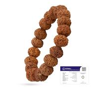 Astrotalk 7 Mukhi Rudraksha Bracelet | Powerful Shield of Positivity & Growth | Natural original Rudraksha Beads | Astrology Unisex Bracelet for Men & Women