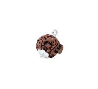 Astrotalk Ganesh Mukhi Rudraksha | Remove Obstacles and Unlock Success | Wisdom, Protection and Confidence | Sacred Rudraksha Bead for Men and Women, one size, Rudraksha, No Gemstone