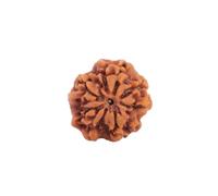 Astrotalk Nepal Origin Nirakar Rudraksha (0 Mukhi) | Rare Zero Mukhi Bead | Represents Formless Lord Shiva | Sacred Rudraksha Bead for Women & Men, One Size, Rudraksha, No Gemstone