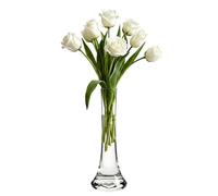 ASTRQLE 9.8in Clear Narrow Neck Glass Bud Vase, Single Stem Flower Vase | Thick Anti-Tip Base, Hand Blown, Easy Rinse Clean, Modern Minimalist, for Floral Display Home Wedding Table Centerpiece