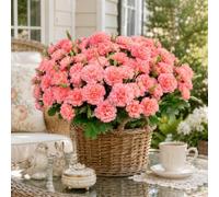 astylishome Artificial Carnations Flowers 30 Heads Pink Carnation Flower Bulk With Sterms Fake Flowers Bouquet Silk Petals No Fade Faux Floral for Mother's Day Wedding Home Decoration F2148