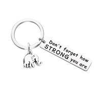 Asukohu Craft Elephant Keychain with Inspirational Message Strength Wisdom Symbol Desk Ornament Thoughtful Gifts Friend Gift Keychain, b, One Size
