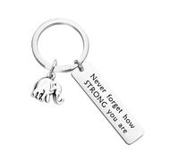 Asukohu Craft Elephant Keychain with Inspirational Message Strength Wisdom Symbol Desk Ornament Thoughtful Gifts Friend Gift Keychain, a, One Size