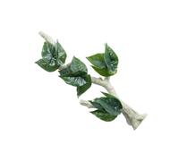 Asukohu Reptiles Corner Branch Climbing Branch Vine For Terrariums Life Like Plant Decorative Suction Cup Vine For Turtles Lizards Suction Cup Vine Decors